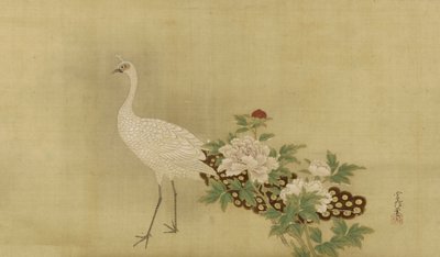 Pavone bianco e peonie, periodo Edo, metà XVII-inizio XVIII secolo da Kano Tsunenobu